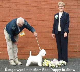 2003 Kimgarwyn Little Mo BP 2003 Kimgarwyn Little Mo BP