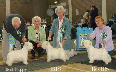 2004  BIS 2004  BIS