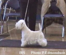 2005 BIS-2 2005 BIS-2