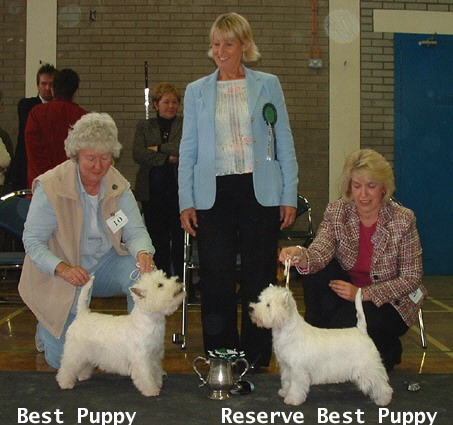 2005 BPD & BPB 2005 BPD & BPB