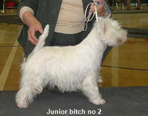 2005 JB 2005 JB