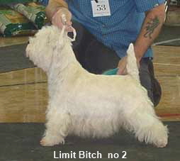 2005 LB2 2005 LB2