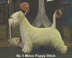 2005 MPB 2005 MPB