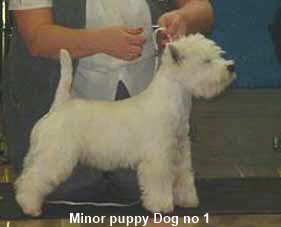 2005 MPD 2005 MPD