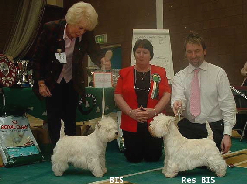 2006 bis 2006 bis