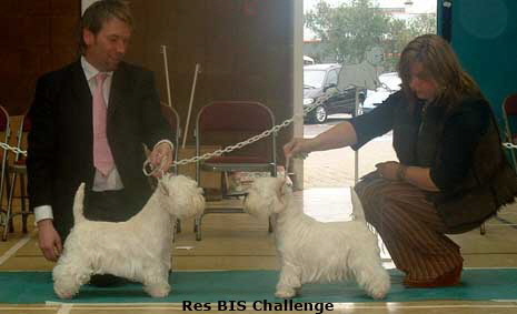 2006 rbis challenge 2006 rbis challenge
