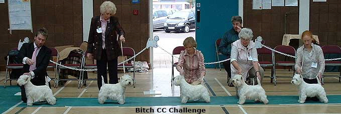 2006bitch challenge 2006bitch challenge