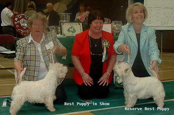2006bp 2006bp
