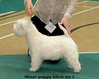 2006mpb 2006mpb