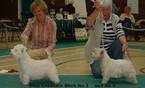 2006pgb 2006pgb