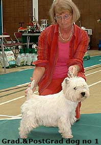 2006pgd1 2006pgd1