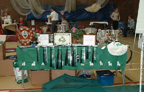 2006trophies 2006trophies
