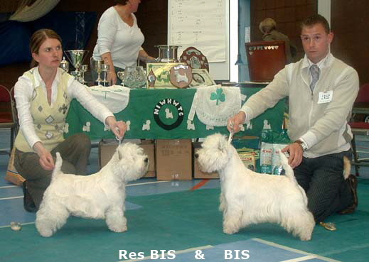 2007 BIS & RBIS 2007 BIS & RBIS