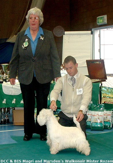 2007 BIS 2007 BIS