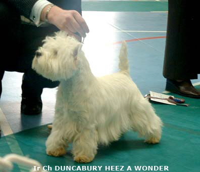 2007 Duncabury Heez A Wonder 2007 Duncabury Heez A Wonder
