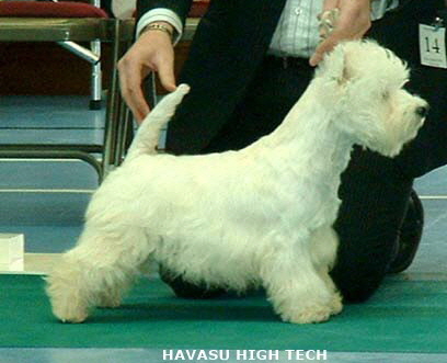 2007 Havaso High Tech 2007 Havaso High Tech