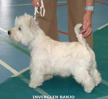 2007 Inverglen Banjo 2007 Inverglen Banjo