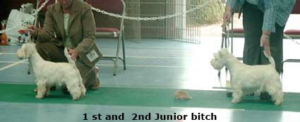 2007 JB 2007 JB