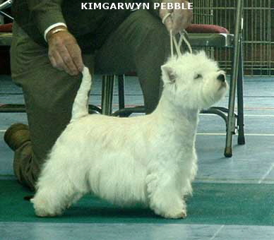 2007 Kimgarwyn Pebble 2007 Kimgarwyn Pebble