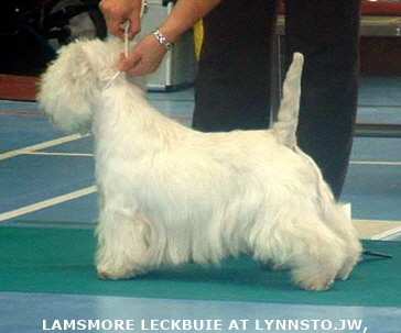 2007 Lamsmore Leckbuie 2007 Lamsmore Leckbuie