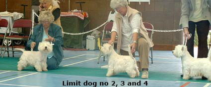 2007 Limit Dog 2007 Limit Dog