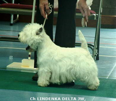 2007 Lindenka Delta 2007 Lindenka Delta