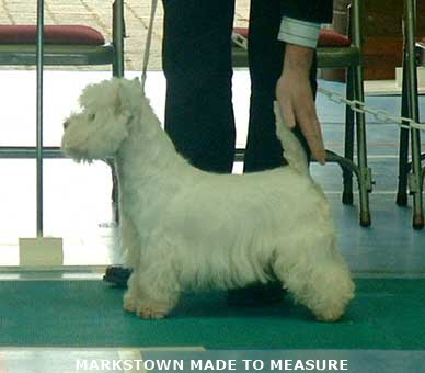 2007 Markstown Made to Measure 2007 Markstown Made to Measure