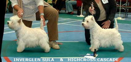 2007Inverglen Sula & Highcross Cascade 2007Inverglen Sula & Highcross Cascade