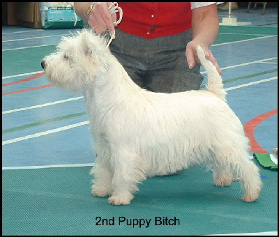 2008    2PB 2008    2PB