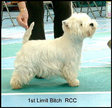 2008 1LB 2008 1LB