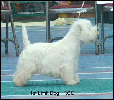 2008 1LD 2008 1LD