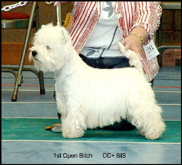 2008 1OB 2008 1OB
