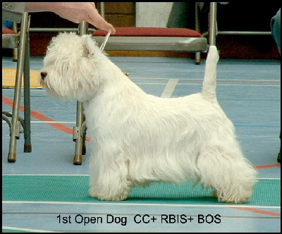 2008 1OD 2008 1OD