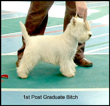 2008 1PGB 2008 1PGB