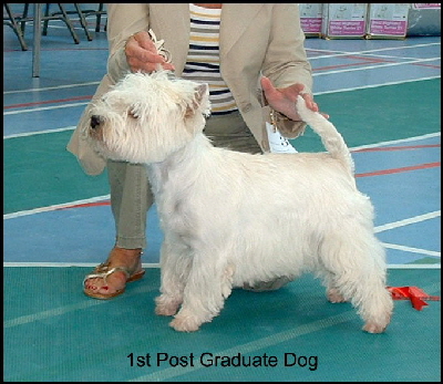 2008 1PGD 2008 1PGD