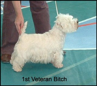 2008 1VB 2008 1VB