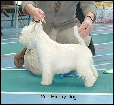 2008 2 PD 2008 2 PD