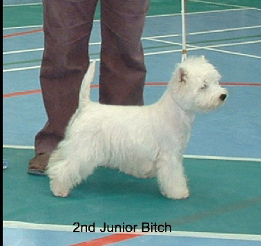 2008 2JB 2008 2JB