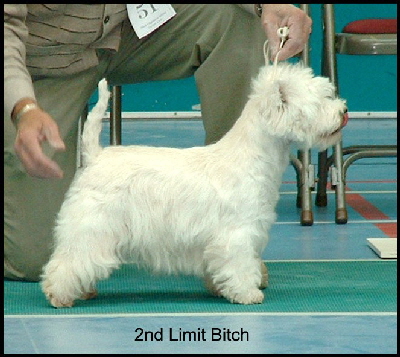 2008 2LB 2008 2LB