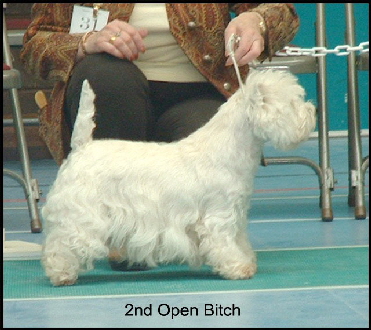 2008 2OB 2008 2OB