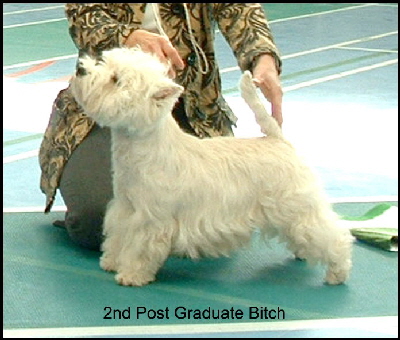 2008 2PGB 2008 2PGB