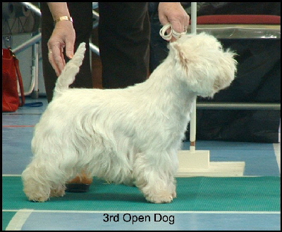 2008 3OD 2008 3OD