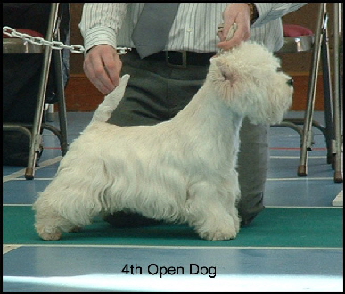 2008 4OD 2008 4OD