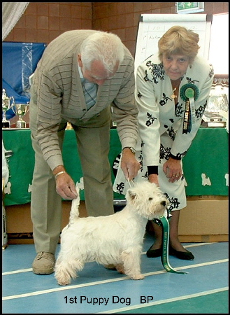 2008 BP 2008 BP