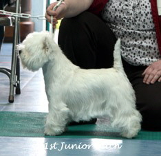 2009 1jb 2009 1jb