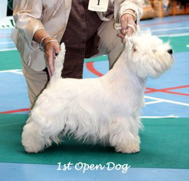 2009 1od 2009 1od