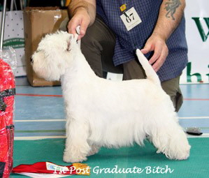 2009 1pgb 2009 1pgb