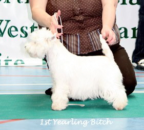 2009 1yb 2009 1yb