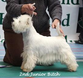 2009 2jb 2009 2jb