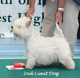 2009 2ld 2009 2ld
